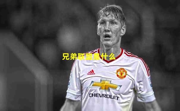 兄弟联盟是什么
