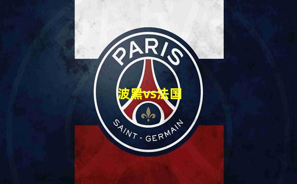 波黑vs法国