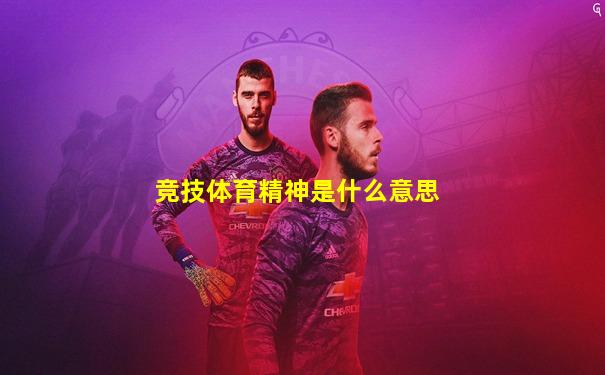 竞技体育精神是什么意思