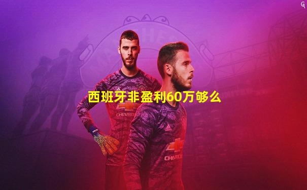 西班牙非盈利60万够么
