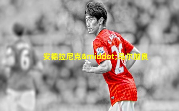 安德拉尼克·马尔加良