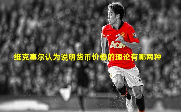 维克塞尔认为说明货币价格的理论有哪两种